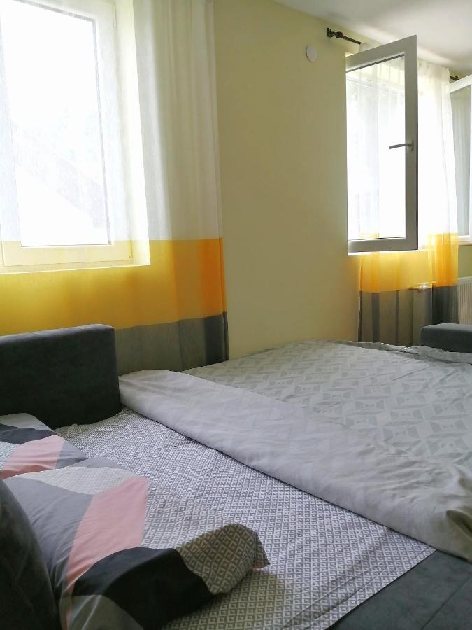 Nikas Apartman Donji Milanovac Buitenkant foto